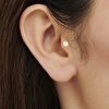 Altın Tragus Piercing