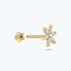 Altın Tragus Yıldız Piercing