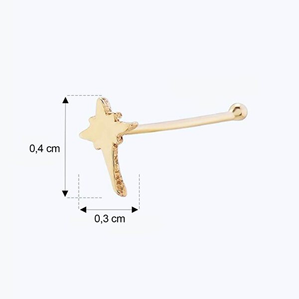 Altın Kutup Yıldızı Hızma