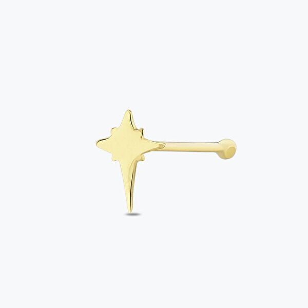 Altın Kutup Yıldızı Hızma