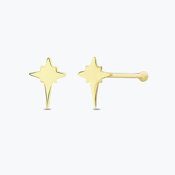 Altın Kutup Yıldızı Hızma