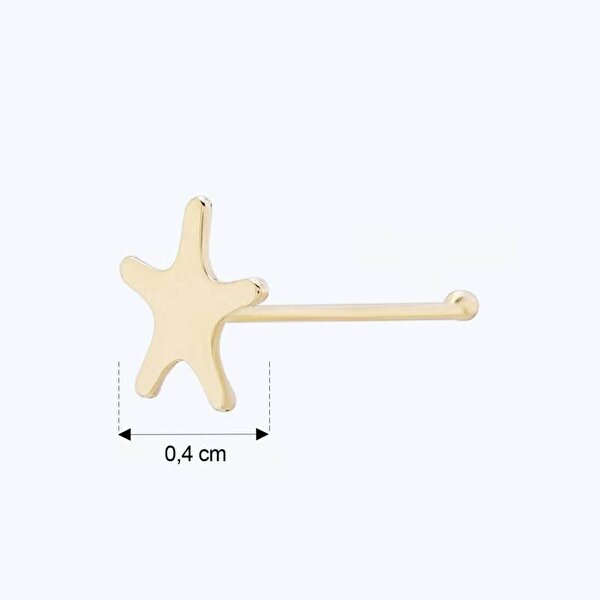 Altın Deniz Yıldızı Hızma