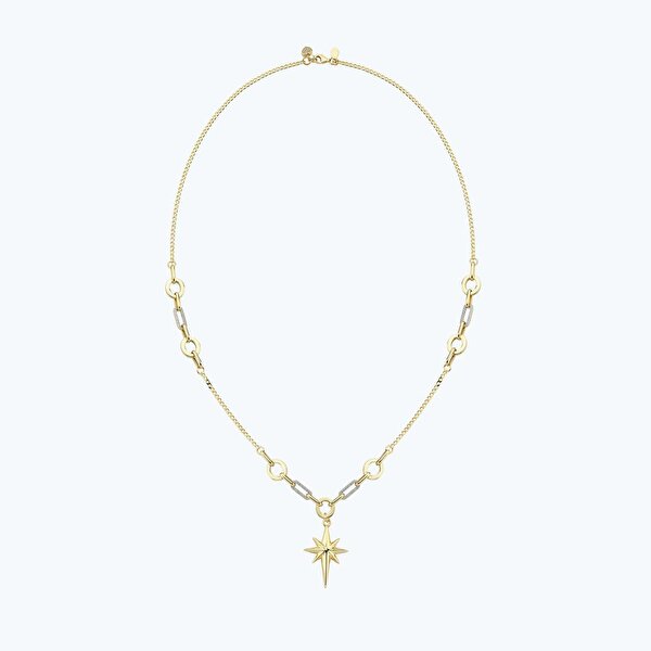 Altın Kutup Yıldızı Kolye