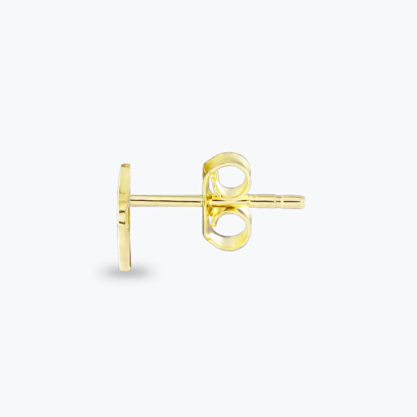 Altınbaş Burç Balık Küpe