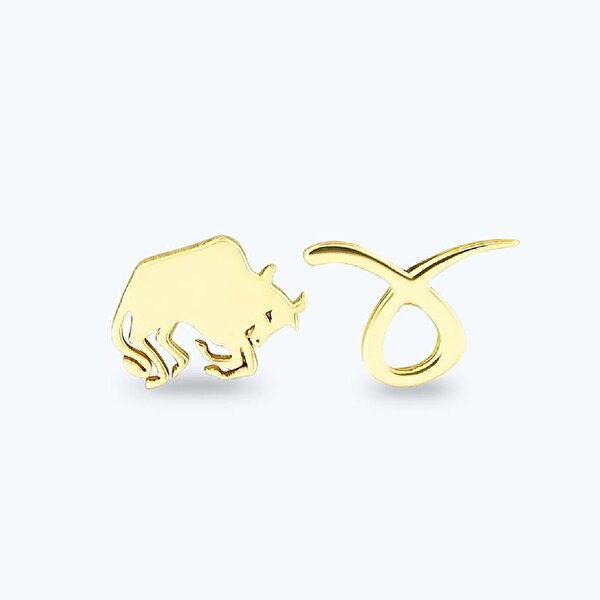 Altınbaş Burç Boğa Küpe