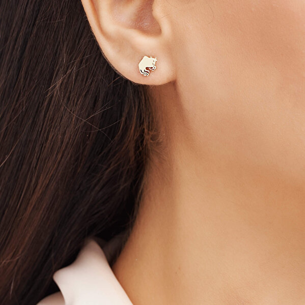 Altınbaş Burç Boğa Küpe