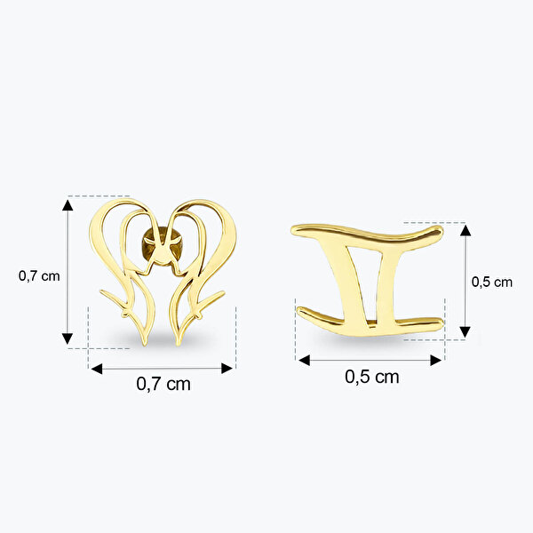 Altınbaş Burç İkizler Küpe