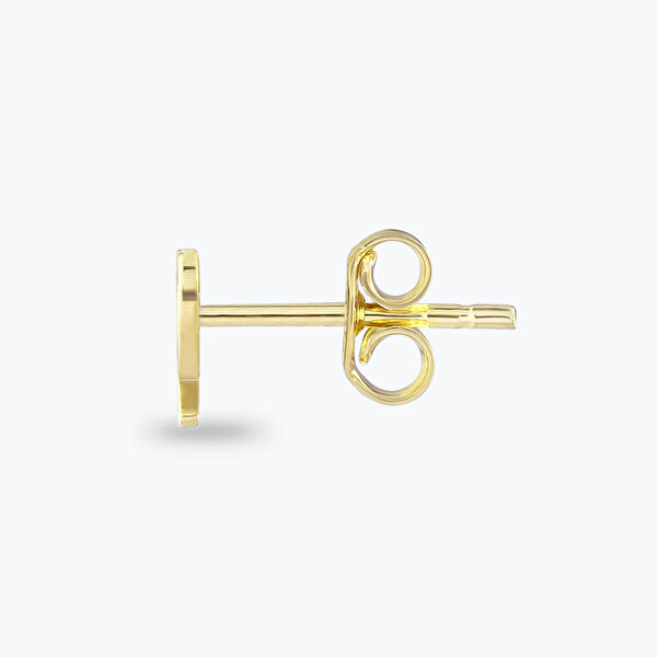 Altınbaş Burç Yay Küpe