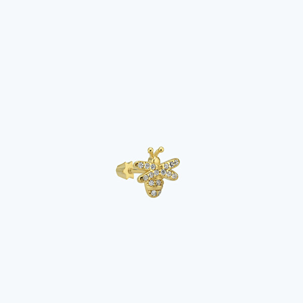 Altın Arı Tragus Piercing